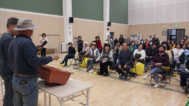 0403_상자텃밭 (11).jpg